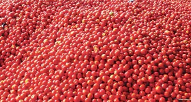 కృష్ణావతారంలో భద్రాచల రామయ్య

