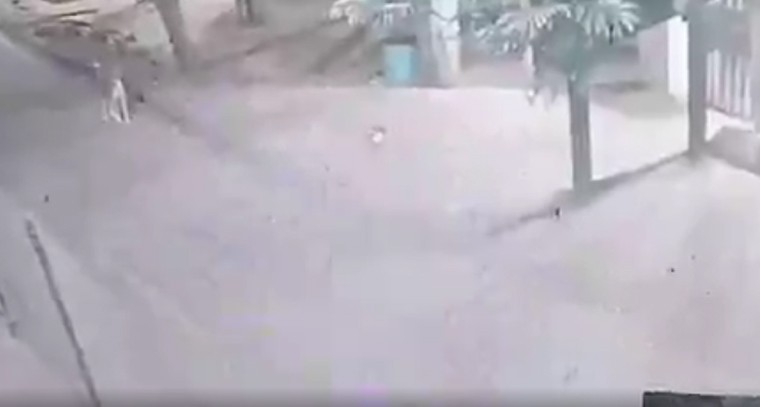 తిరుమల శ్రీవారిమెట్టు దగ్గర చిరుతపులి సంచారం

