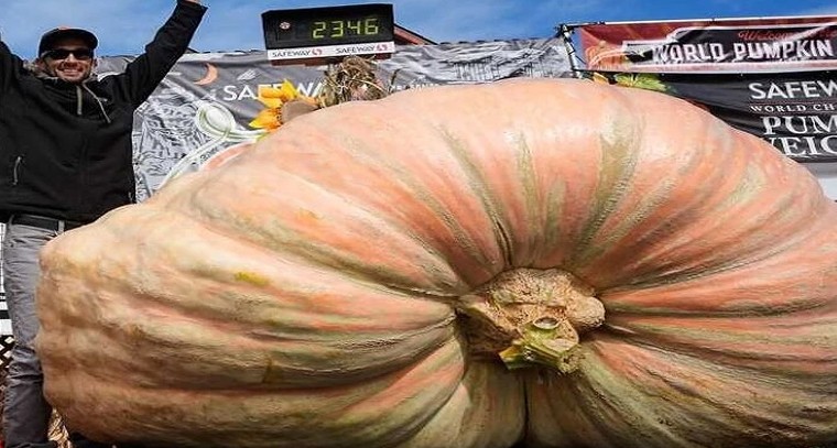 IND vs BAN: నేడు బంగ్లాదేశ్‌తో రెండో టీ20

