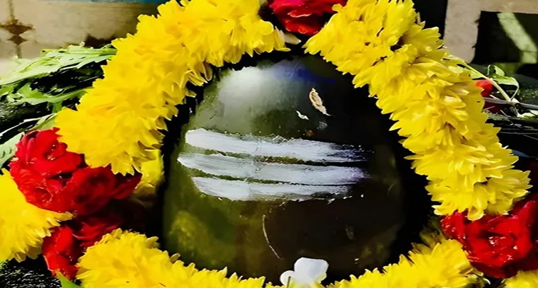 త్రిలింగేశ్వర దేవాలయంలో ప్రత్యేక పూజలు

