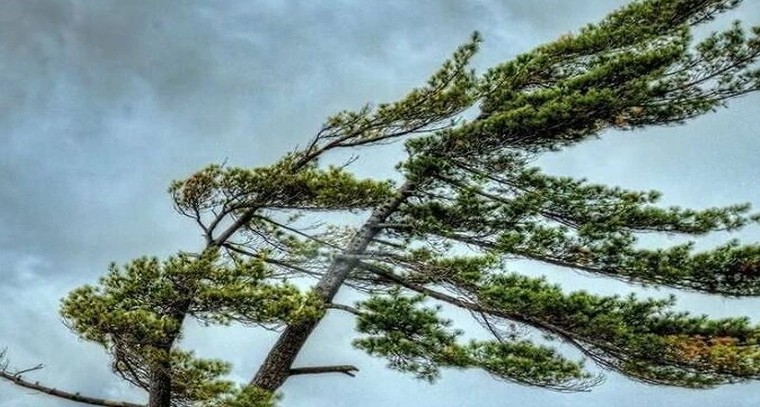 గాలి మన కంటికి ఎందుకు కనిపించదు?.. అసలు రహస్యం ఇదే

