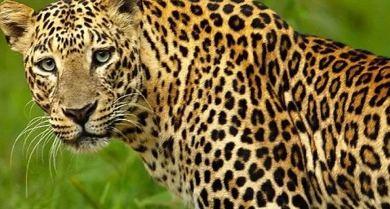 PHD చేయాలంటే ఇకపై కొత్త నిబంధనలు