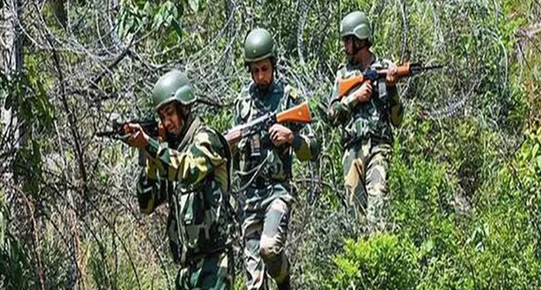 ఈ బంగారు తేనీరు ధర తెలిస్తే షాకవుతారు!

