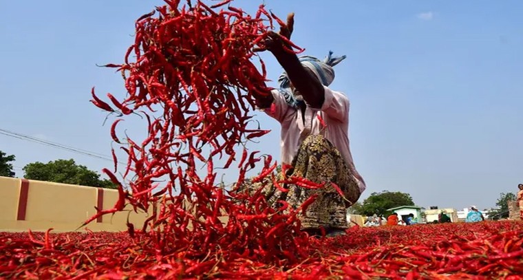 శ్రీశైలంలో భక్తుల రద్దీ

