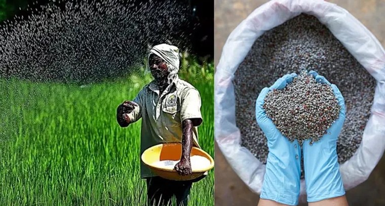 అమ్మవారి విశ్వరూప దర్శనం ప్రారంభం

