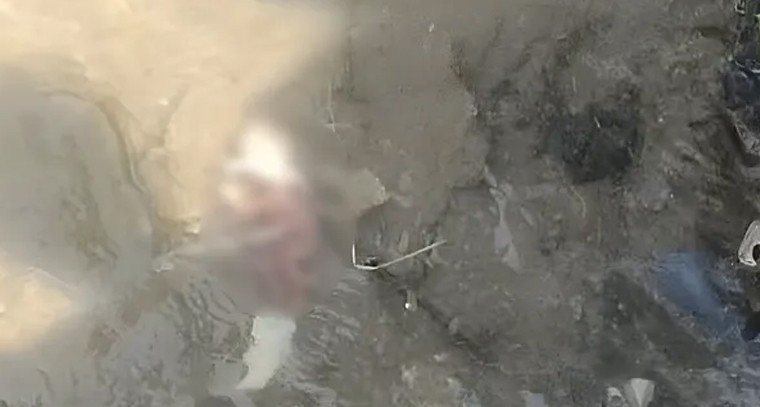 శ్రీమార్కండేయ స్వామి ఆలయంలో ప్రత్యేక పూజలు