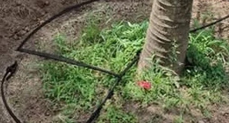 శ్రీశైలం మల్లన్న భక్తులకు గుడ్ న్యూస్