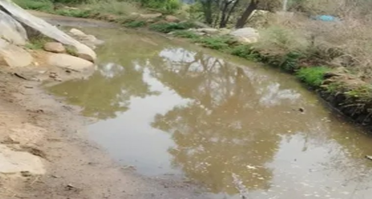 శ్రీవారి సర్వదర్శనానికి 24 గంటల సమయం

