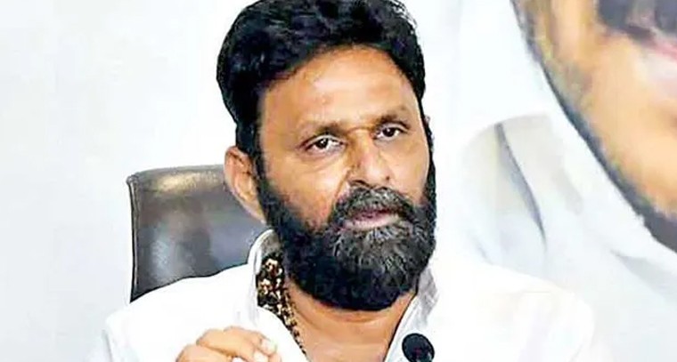పెద్దశేష వాహనంపై వైకుంఠనాథుని విహారం

