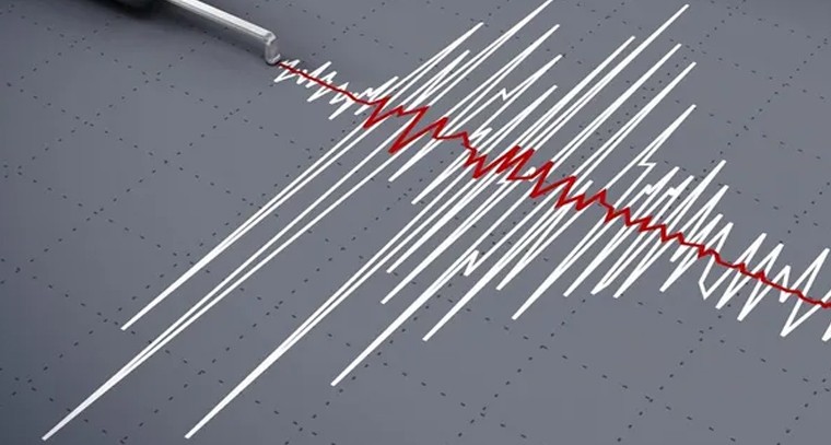 పాకిస్థాన్‌లో భూకంపం రావడంతో ఉత్తర భారతదేశంలోనూ కంపించిన భూమి

