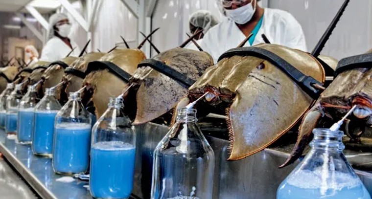 భక్తులకు టీటీడీ శుభవార్త

