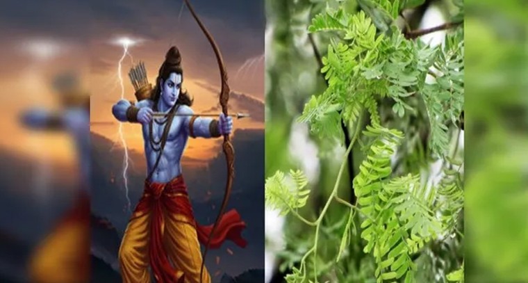 శ్రీరాముడు & జమ్మిచెట్టు.. దసరా విజయానికి సంకేతం

