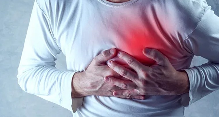 వైభవంగా శ్రీ యాగం ఆరంభం