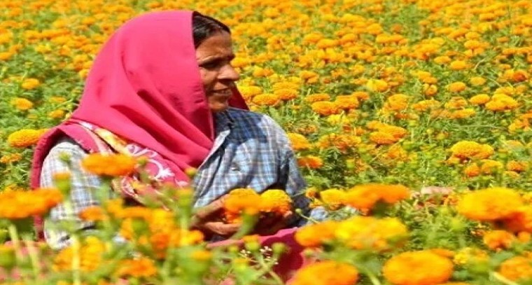 సింహాచలం క్షేత్రం.. చూసి తరించాల్సిందే..
