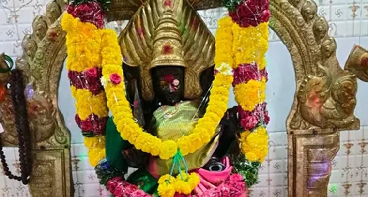 ఘనంగా నాగారపమ్మకు పూజలు

