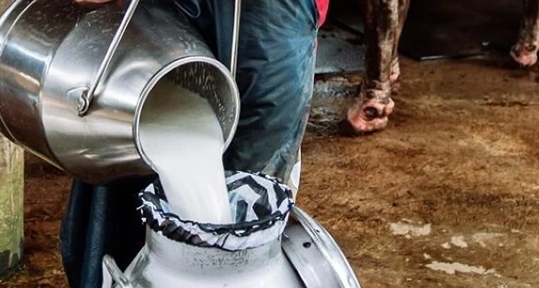 2033 నాటికి టాప్-3లోకి దూసుకెళ్తాం.. పాల రాష్ట్రంగా మారనున్న ఆంధ్రప్రదేశ్!

