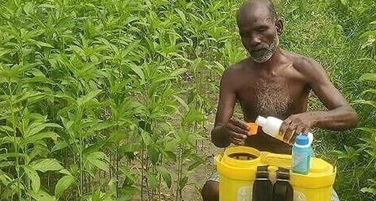 టాస్ గెలిచి బౌలింగ్ ఎంచుకున్న గుజరాత్ టైటాన్స్ 

