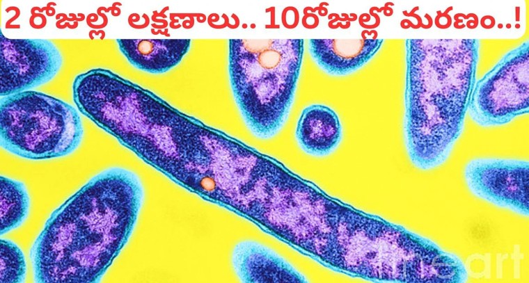 న్యూయార్క్ సెంట్రల్ హార్లెంలో లెజియోనైర్స్ వ్యాధి వ్యాప్తి.. ఆరుగురు మరణాలు, 100 మందికి పైగా బాధితులు

