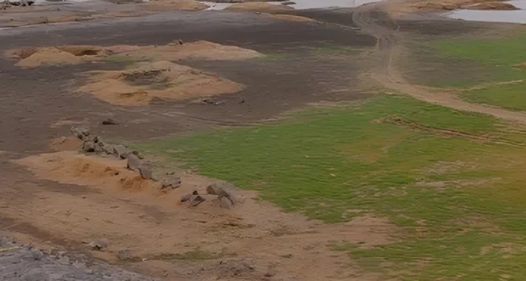 ఈనెల 20 నుండి కౌన్సెలింగ్

