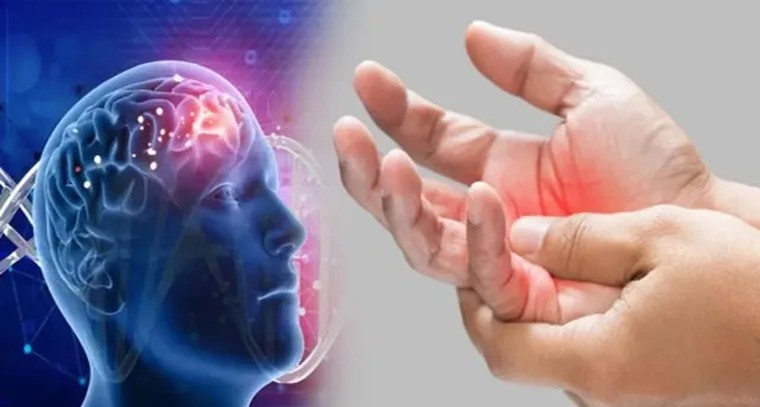 జీబీఎస్‌ వ్యాధి లక్షణాలు ఇవే!

