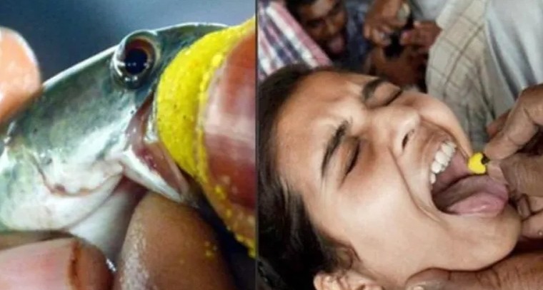 ఎంతమంది వచ్చినా.. రాముడి దర్శనం ఉచితమే..!

