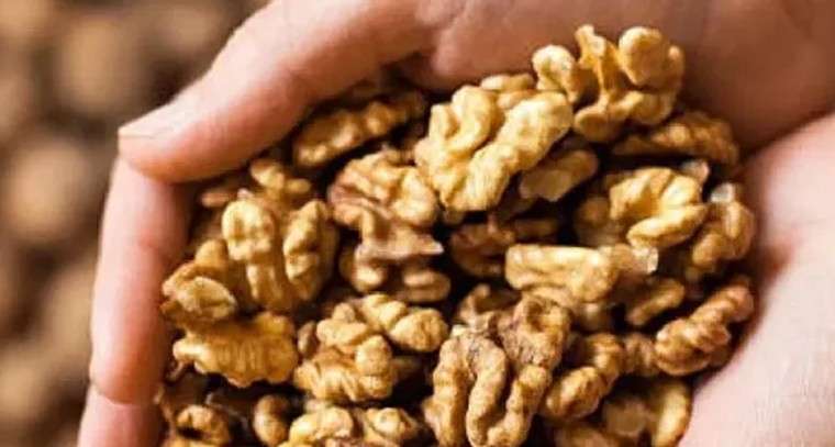రోజుకు 4 నానబెట్టిన వాల్‌నట్స్‌ తింటే ఎన్నో లాభాలు


