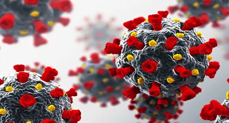 నోరో వైరస్ రావడానికి గల కారణాలు ఇవే

