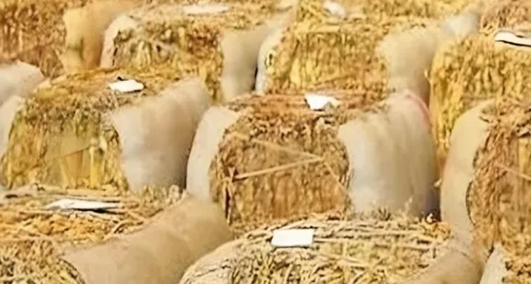 పొగాకు గరిష్ట ధర కేజీ రూ. 365

