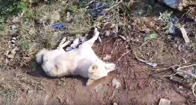 ఉద్యోగాల నోటిఫికేషన్ విడుదల