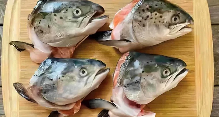 చేప తలలు తినడం వల్ల కలిగే ప్రయోజనాలు

