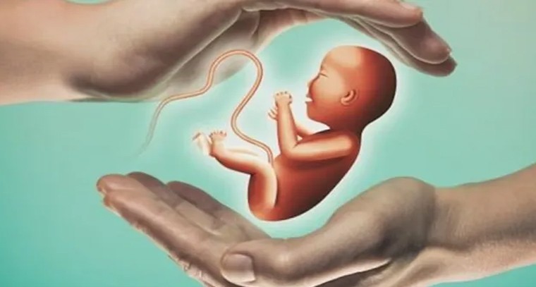 పిండం వయసును నిర్ధారించే ఏఐ నమూనా

