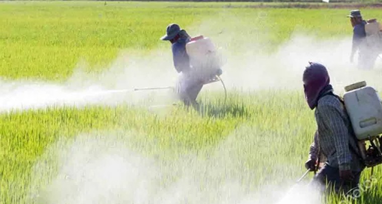 రికార్డులు సృష్టించిన స్టాక్‌మార్కెట్ సూచీలు

