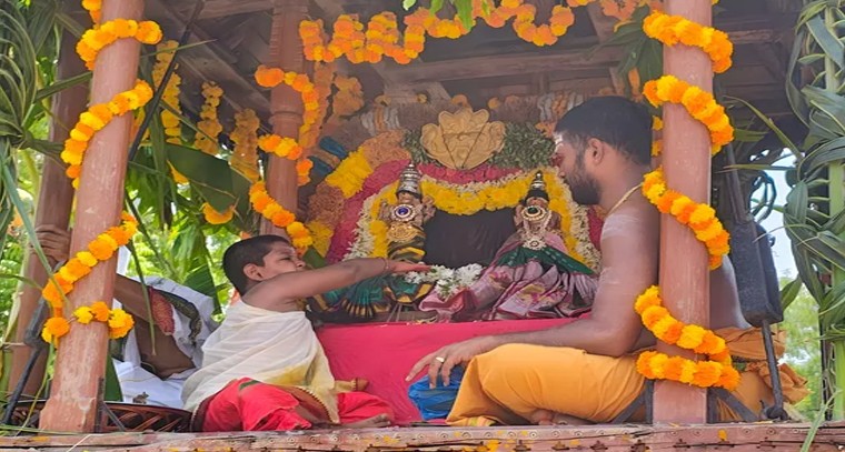 ఘనంగా వైద్యనాథేశ్వరుడి రథోత్సవం

