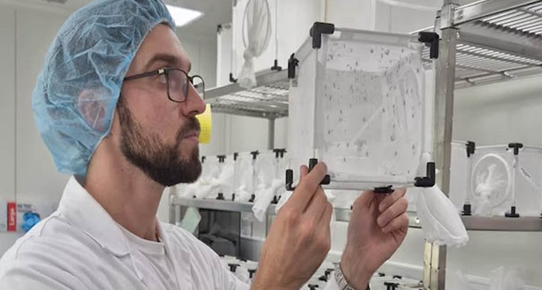 చుండ్రు సమస్యతో జుట్టు రాలుతుందా.. ఇవి తెలుసుకోండి

