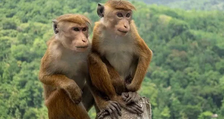 మూడో వన్డేలో భారత్ ఘన విజయం