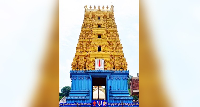 సింహాచలం అధికారులపై విచారణ

