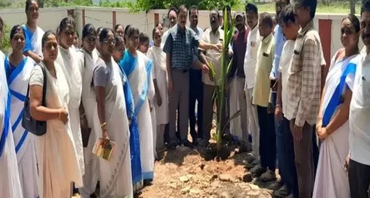 మల్బరీతో అనేక సమస్యలకు చెక్