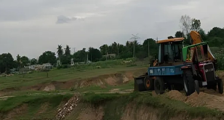 దోమల సాయంతో దొంగ పట్టివేత