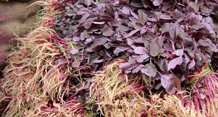 ఈ ఆకుకూరతో ఎన్నో ఆరోగ్య ప్రయోజనాలు..!