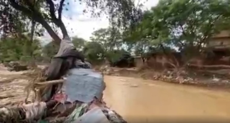 హార్లే డేవిడ్‌సన్ నుంచి నయా బైక్

