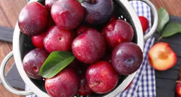 ఘనంగా ధనుర్మాస ఉత్సవాలు