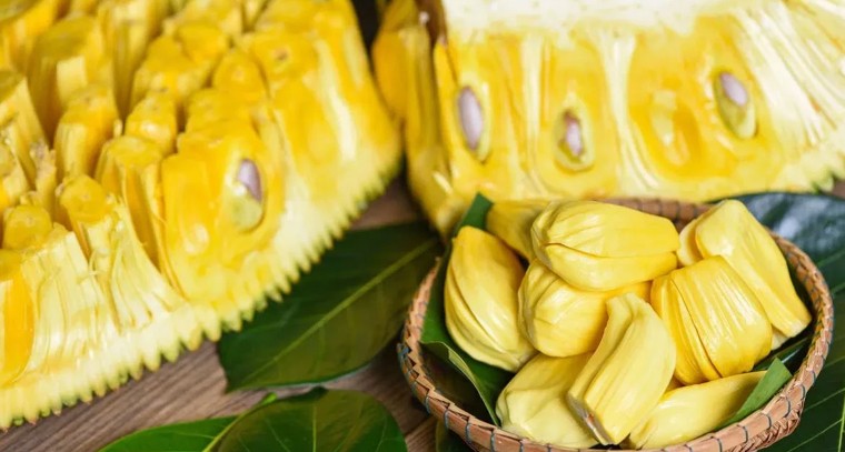 పనస పండు.. ఆరోగ్య పోషకాల నిధి

