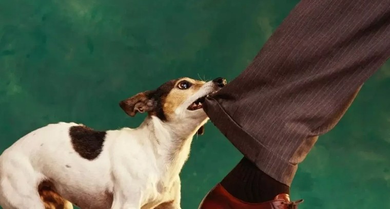 పొంచి ఉన్న గండం.. 5, 6 తేదీల్లో మరో అల్పపీడనం

