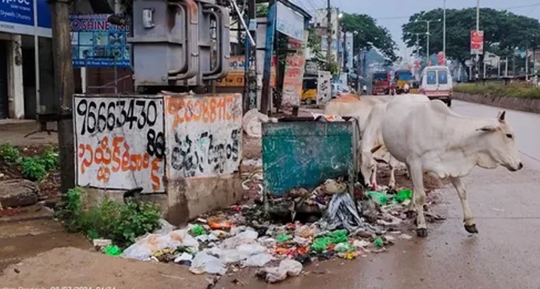 భక్తులతో కిటకిటలాడిన మాలకొండ దివ్యక్షేత్రం