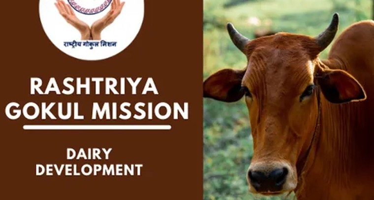 బజాజ్ చేతక్ ఎలక్ట్రిక్ స్కూటర్ ప్రత్యేకతలివే