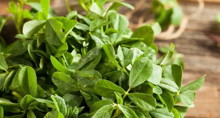 మెంతికూరతో ఆరోగ్యానికి ఎంతో మేలు 

