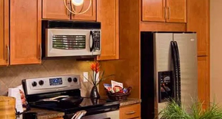 వంటగదిలో ఈ ఫోటో పెడితే ఐశ్వర్యమే