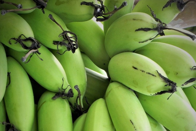 పచ్చి అరటి పండు తినడం వల్ల వీరికి ఎక్కువ బెనిఫిట్స్..... 