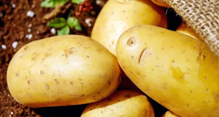 బంగాళదుంపలను ఇలా నిల్వ చేస్తే అనారోగ్యమే!