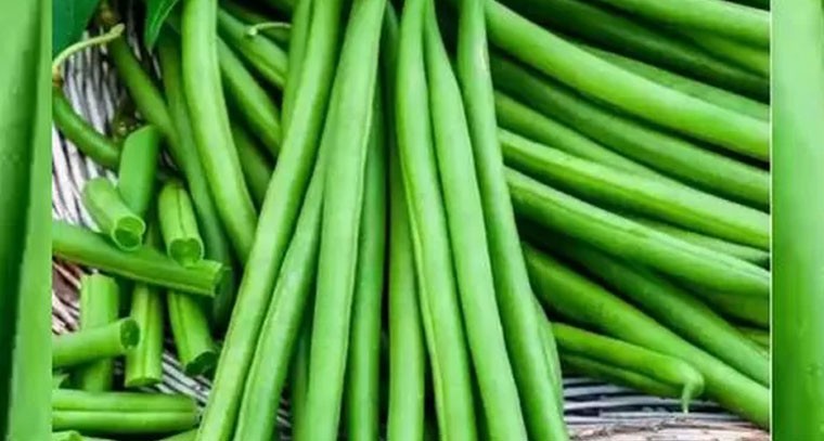 బీన్స్‌తో ఆరోగ్య ప్రయోజనాలు